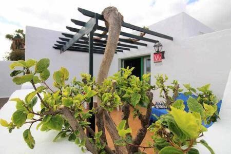 Sa Calma Beach House Costa Teguise Luaran gambar